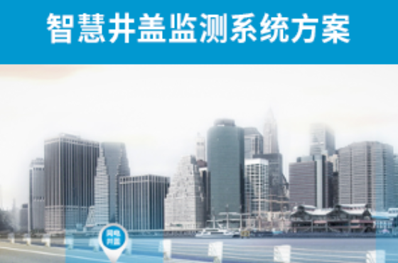 智慧（huì）井蓋監管（guǎn）服務係統